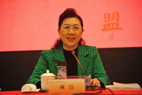 中共深圳市委常委,统战部部长林洁讲话