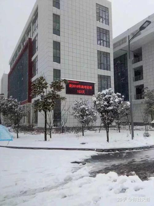 在涡阳一中就读是一种怎样的体验?