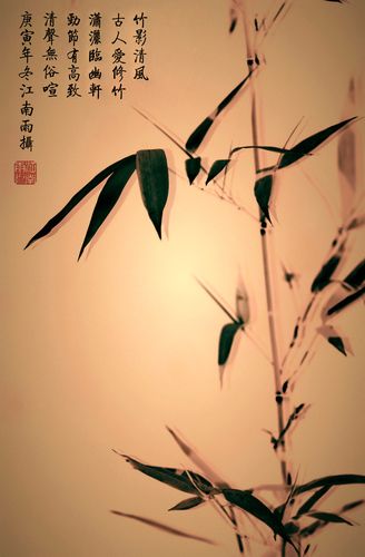 竹影清风——画竹