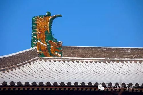 北京故宫太和殿上的鸱吻都没有我高 而且我是正儿八经的金代血统.