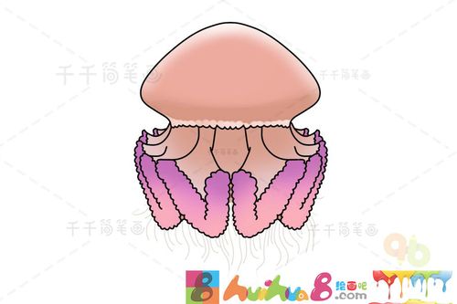 教你画桃花水母简笔画