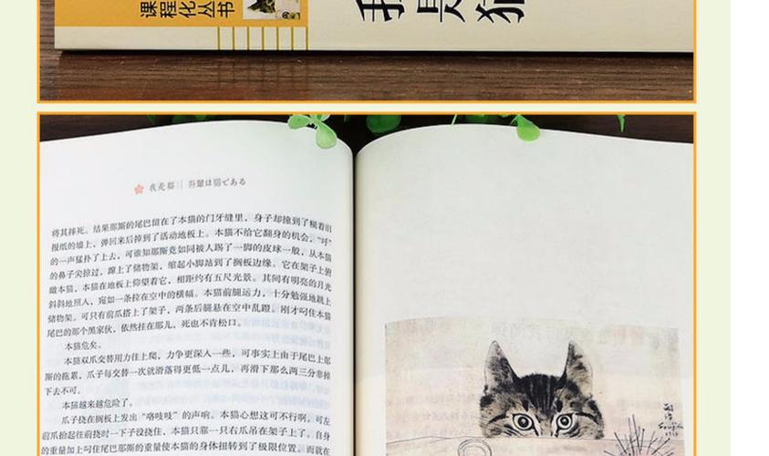 我是猫 夏目漱石/人民教育出版社(九年级下册)教育部