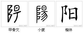 令人惊叹中的汉字中神奇智慧!