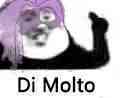 dimolto表情包素材斗图表情