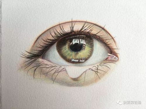 彩铅手绘——眼睛局部_素描绘画教程_零二七艺考