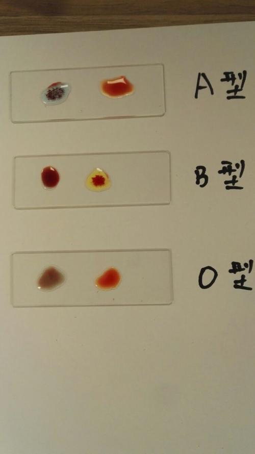 国庆节十月一号,免费测血型