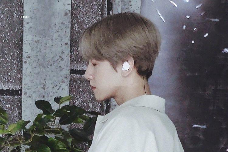 伯贤- 堆糖,美图壁纸兴趣社区