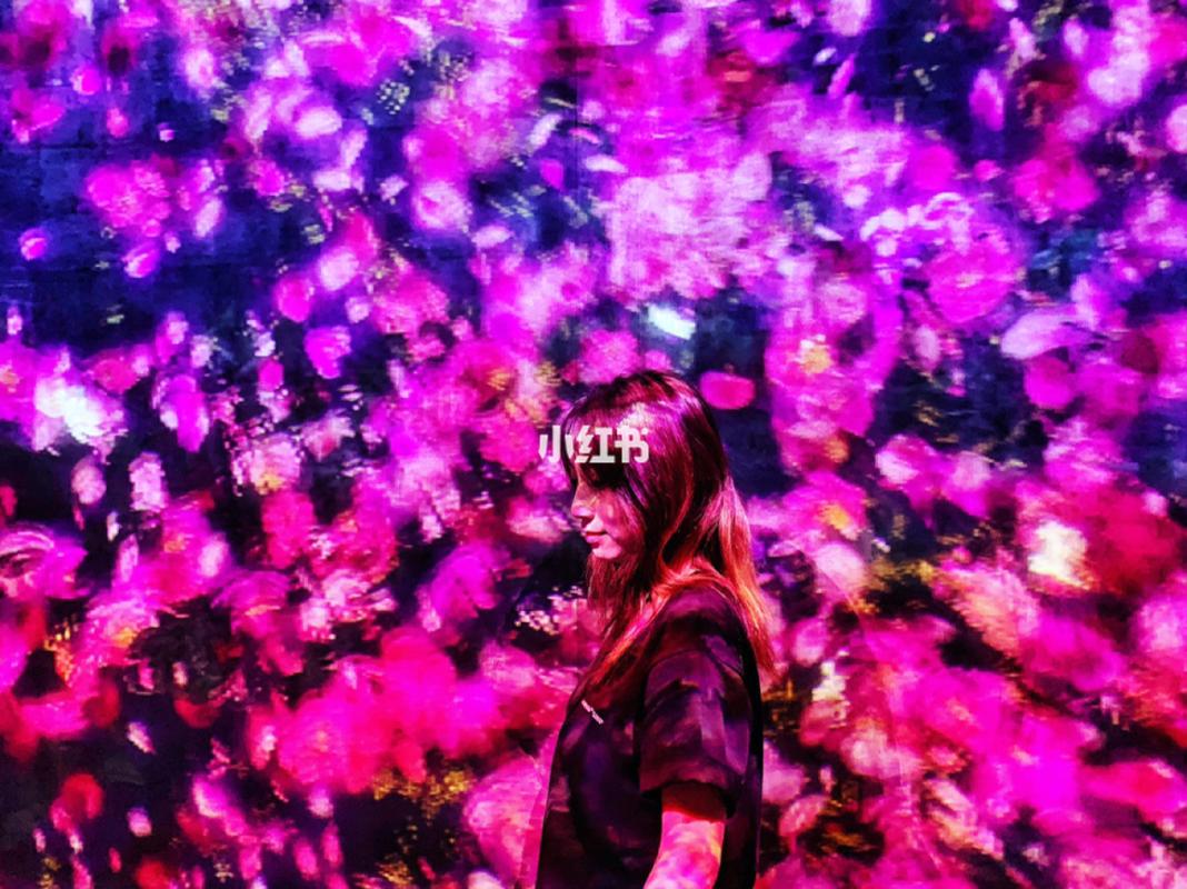 teamlab@guangzhou_游乐园_日本_teamlab花舞森林与未来游乐园_出行