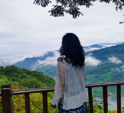 站在大邑雾山上观云海,美极了_景点_云海_出行_人文风光展示_旅行混剪