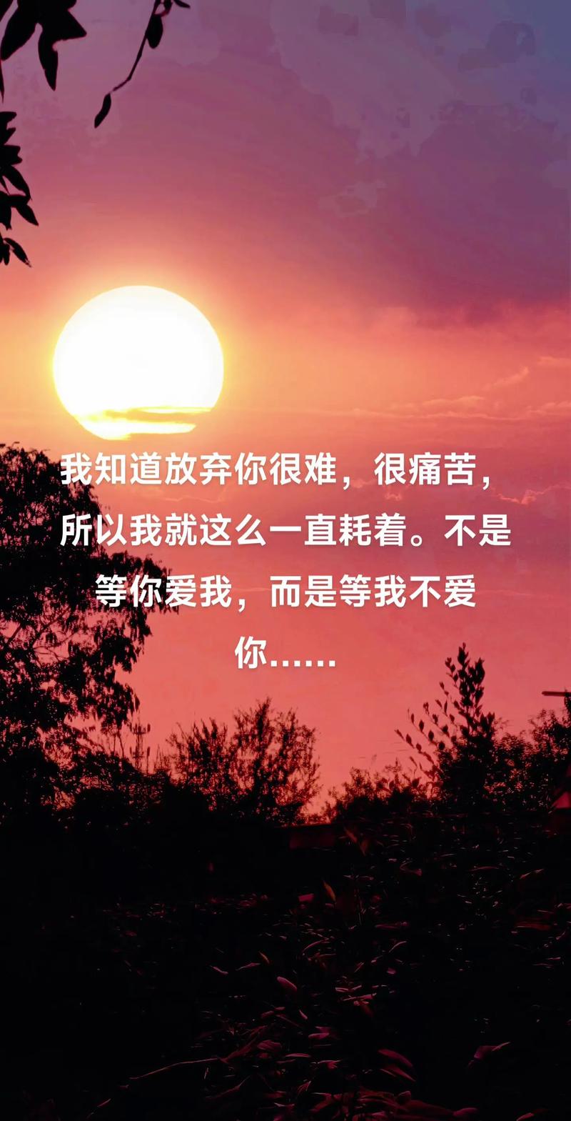 如果你实在放不下一个你爱而不得的人,那你不妨一直就这么跪舔下去