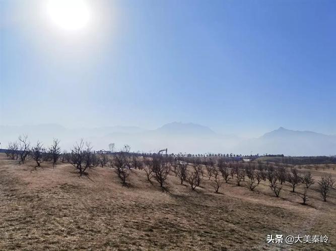 《最佳女婿》小说在线阅读 《最佳女婿》最新章节列表