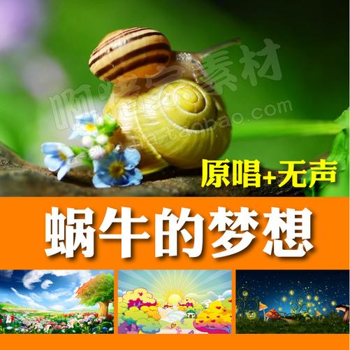 共350 件蜗牛的梦想相关商品
