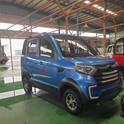 成人全封闭电动四轮车 四门四座手把式家用老年代步车 女士电动车