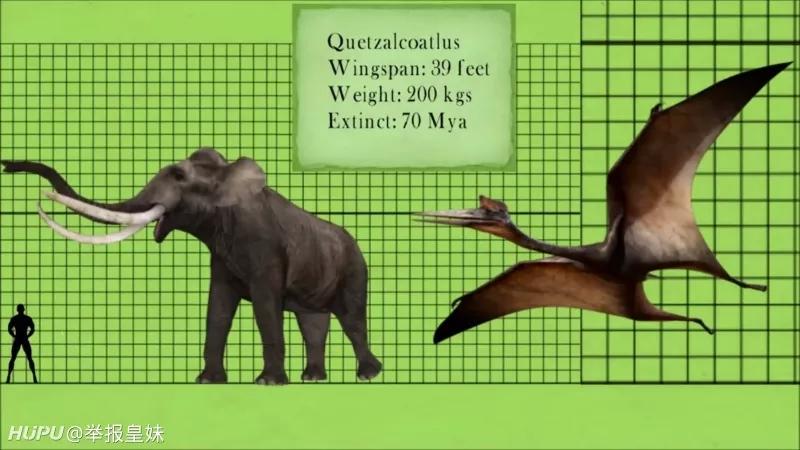 科普,史前动物和人类体型对比,应该庆幸它们已经灭绝