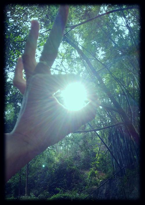 早晨的一缕阳光