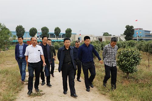 【通城县委副县长侯红辉(右2)介绍通城油茶发展规划】