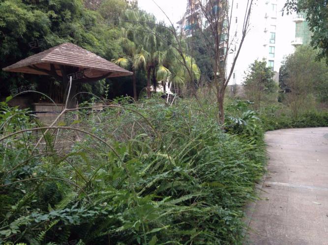 天池山,仙葫大道中段9号-南宁天池山二手房,租房,房价