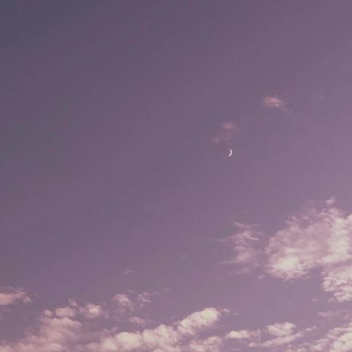 "点赞量超高的qq空间甜丧句",有一天,我看见过四十三次日落