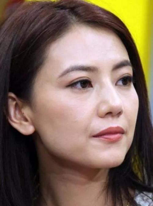 高圆圆这可怕的素颜,一看也是被外油内干困住了!