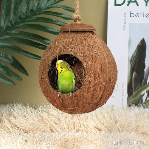 牡丹鹦鹉应该住什么样的窝里?