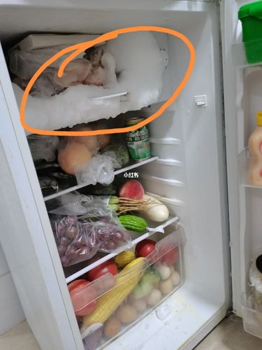 家里的冰箱又又又又结冰了,还能用吗_冰箱_冰箱结冰怎么办_家居家装
