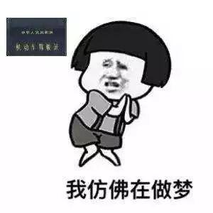 暑假的打开方式