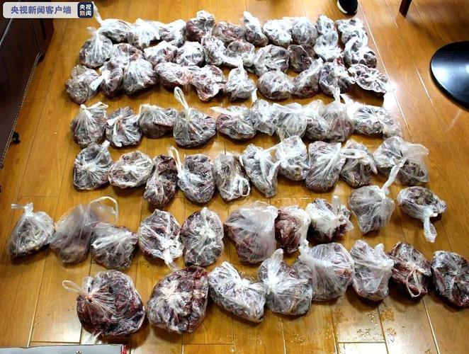 无锡男子用热成像仪,弹弓捕千只斑鸠出售 被刑拘