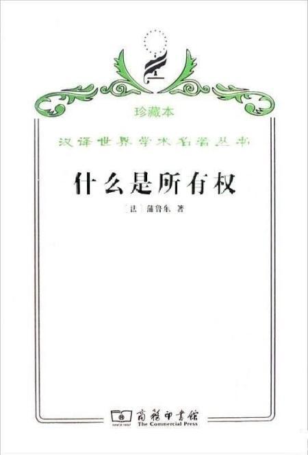 什么是所有权