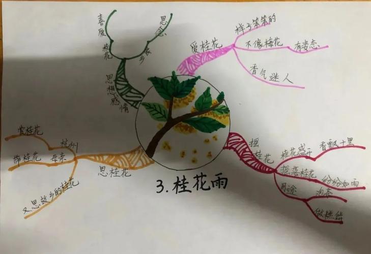 部编版语文五年级上册《重要知识点 思维导图》提前收藏,期末复习必备