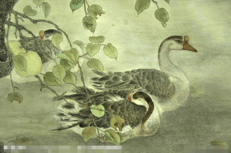 【怒波·鱼】:工笔画鹅 - liuxiaofen104的日志 - 网易博客