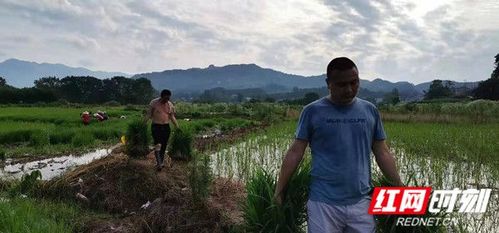 慈利县三官寺土家族乡众人拾柴火焰高群众困难大家了