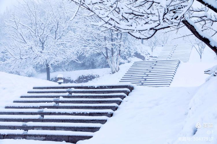 其它 下雪了 写美篇 2020年11月21日拍摄于晋城市吴王山