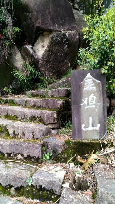 七绝寿宁金鸡山