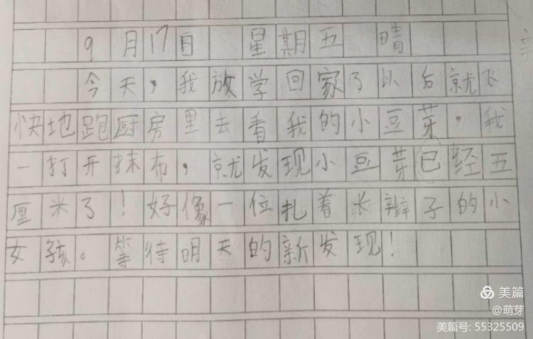 双减进行时发豆芽写日记写作的种子在双峰学子心中萌芽