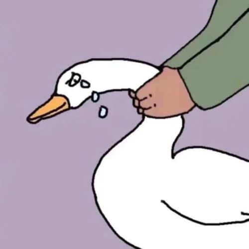 头像|用了怀疑人生