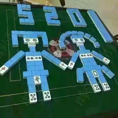 520那天,天太热,媳妇说在家搓麻将,不说了,摆个造型,表示表示,最起码