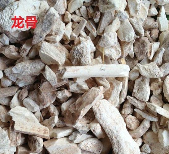 生龙骨的中药图片和功效_中药生龙骨的功效