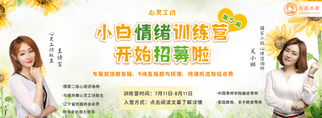 心灵工坊 丨第五期小白训练营(升阶班)开始招募啦!