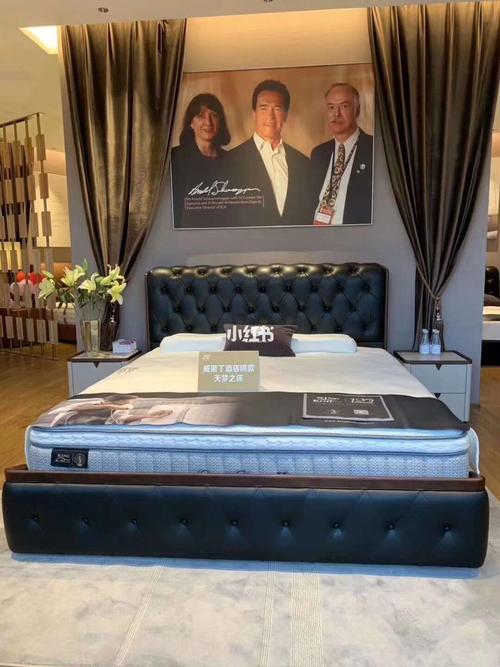 金可儿_金可儿怎么样_vasque怎么样_床垫_家居家装