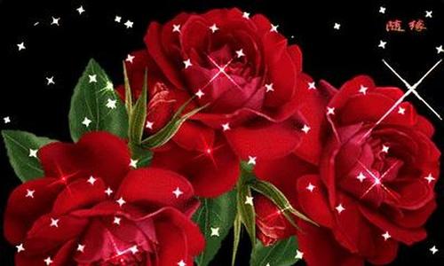 下午好!祝福送给每一位好朋友,愿好心情伴随一整天!