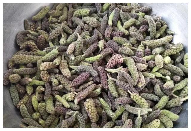 春天里的野菜枸棒槌,浑身都是宝,在城里非常受欢迎