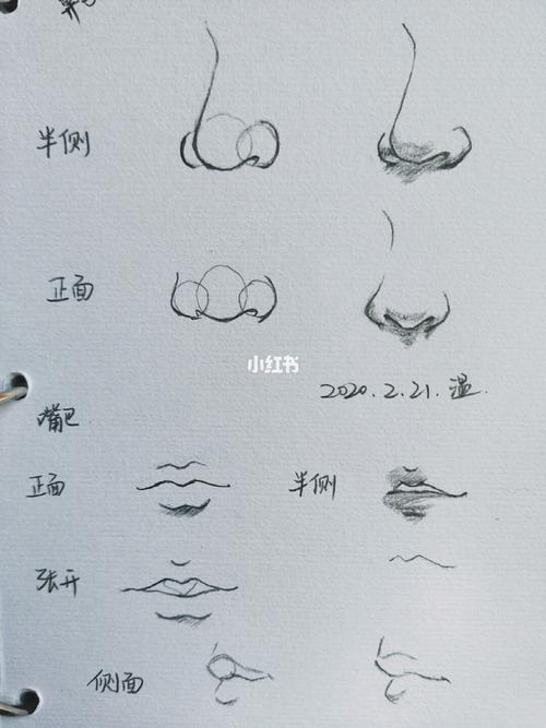 鼻子和嘴巴的画法_绘画_文化_绘画