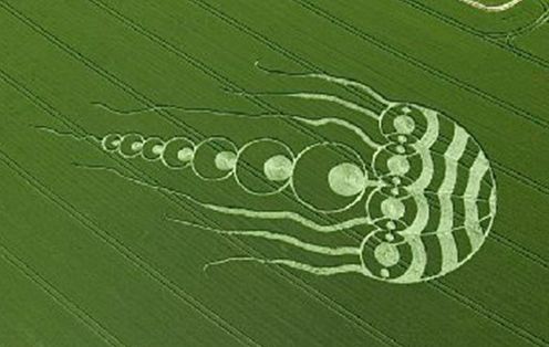 中国惊现神秘麦田怪圈