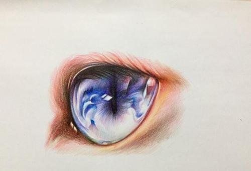 彩铅手绘猫咪眼睛过程图