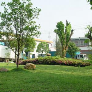 企业厂区绿化效果图