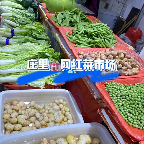 国际庄南方菜市场_北大街海鲜市场_北京大学_海鲜市场