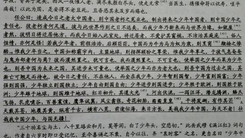 求这一段少年中国说的翻译