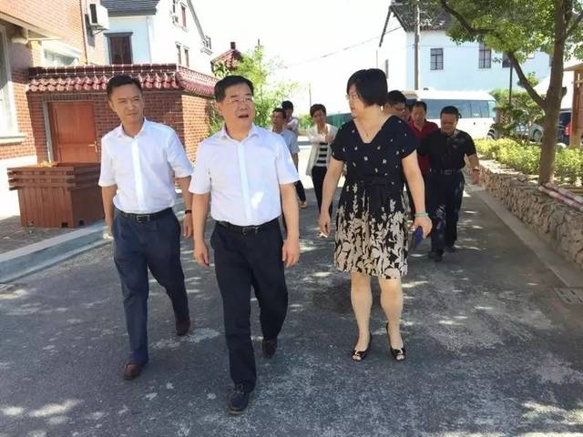 美在环境,富在产业,根在文化!副区长吴志宏调研"美丽乡村"这样说