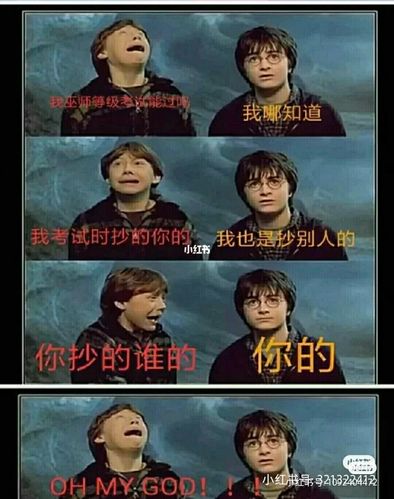 哈利波特_哈利波特_搞笑_表情包_素材_表情包