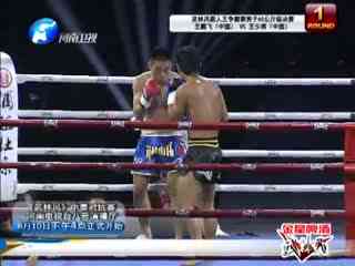 武林风20130803王鹏飞vs王少将